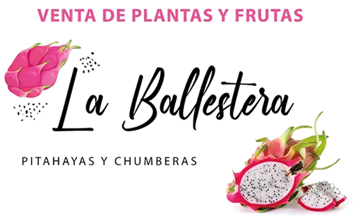 Pitayas y Chumberas la Ballestera logo